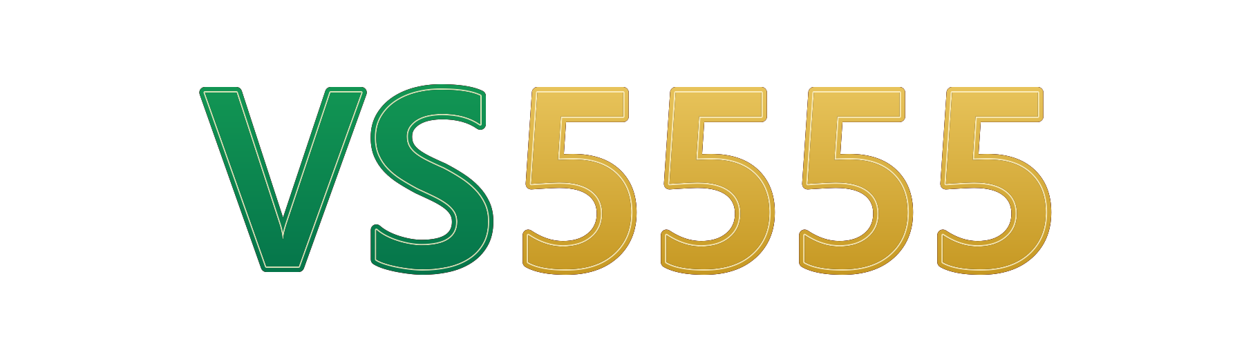 vs5555 logo